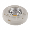 LED COBs, Engines, Modules, Strips - WM24092-ND - DigiKey