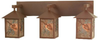 29466 Bathroom Fixtures-Three Lights - 472444 - Capital Lighting, Inc.