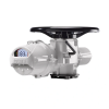 Electric Intelligent Actuators, IQ3 Pro SET -  - Rotork plc