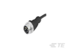 7/8 Connector Cable Assemblies - 5000008029-SE - TE Connectivity