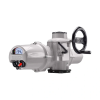 Electric Intelligent Actuators, IQ3S Pro - Single-Phase - Image