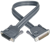 Daisychain Cable for NetDirector KVM Switch B020-Series and KVM B022-Series, 2-ft. -- P772-002 - Image