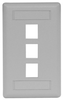 Datacommunication Face Plate - IFP13GY - Hubbell Incorporated