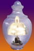 Dark Sky Compliant Luminaries - DS-REF-RET - Niland Company