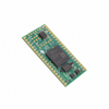 Microcontroller, Microprocessor, FPGA, SOM Modules - 1686-TE0890-01-25-1C-ND - DigiKey