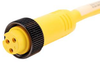 Sensor Cord, 7/8 Rcpt-Free End, 16.4 ; Connector Type A Amphenol Sine/tuchel - 47AC7635 - Newark, An Avnet Company