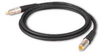 Canare RCAP002F 75 Ohm RCA-RCA 2' - CANRCAP002F - HAVE, Inc.