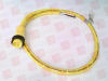 QD Cable/Cord Set - 62992438 - Radwell International