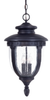8954-94 4 Light Chain Hung - 8954-94 - Minka Group