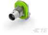 Coax Connectors - 2016166-1 - TE Connectivity