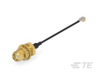 RF Cable Assemblies - 2492541-1 - TE Connectivity