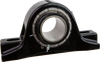 Link-Belt PB22416E Solid-housed Pillow Blocks Link-Belt Spherical Roller Bearings -- PB22416E - Image