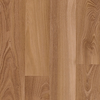 Cameroon Acacia - Image