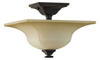 Close to Ceiling Lighting Fixture - SF236ORB - Generation Brands