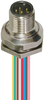 Sensor Cord, 4P, M12 Plug-Free End, 0.5M; Connector Type A Alpha Wire - 01AC3151 - Newark, An Avnet Company