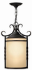 1142OL-ESDS Exterior -Hanging - 405142 - Capital Lighting, Inc.