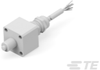 Push Button Switches - K1162519 - TE Connectivity