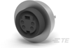 DIN Connectors -- 5750317-1 - Image