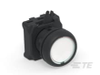 Push Button Switches - 1-2492672-2 - TE Connectivity