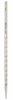 37020-10 - Kimble-Chase Long-Tip Measuring (Mohr) Pipettes, 10 mL -- GO-25563-58 - Image