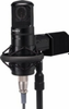 Vacuum Tube Condenser Mircophone -- C800G
