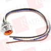 QD Cable/Cord Set - 388365 - Radwell International
