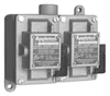 Explosionproof Pushbutton Control Station -- EDS210RU1A - Image