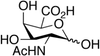 2-Acetamido-2-deoxy-D-galacturonic Acid - 18969 - Medical Isotopes, Inc.