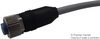 Sensor Cable, Amp, M12 Sensor Straight 8 Position Receptacle, Free / Stripped End, 1.5 M, 4.9 Ft Rohs Compliant Te Connectivity - 49Y4499 - Newark, An Avnet Company