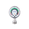 Flush pressure sensor with display -- PG1715 - Image