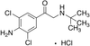 1-(4-Amino-3,5-dichloro-phenyl)-2-tert-butylamino-ethanone.. - 6478 - Medical Isotopes, Inc.