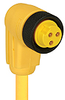 RKW 30-731/...F - Lumberg Automation - A Belden Brand
