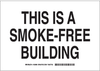 No Smoking Sign - 128097 - Brady Corporation