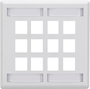 12-Port White Double-Gang Keystone Wallplate - WPT494 - Black Box