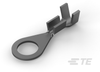 Ring Terminals - 880629-2 - TE Connectivity