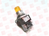 Pilot Light - 4426991 - Radwell International