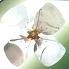 Metal Axial Fan Impellers - 660 mm - Pelonis Technologies, Inc.