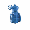 DeZURIK Eccentric Plug Valves (PEC, PEF)