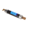 Electrical, Specialty Fuses - 5666-FLSR080.V-ND - DigiKey