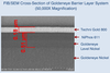 Goldeneye Barrier Layer System