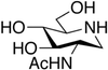 2-Acetamido-1,2-dideoxynojirimycin -- A158400 - Image