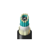 Fiber Optic Cables - 135-TM-3BB-012-LNAN-ND - DigiKey