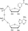 β-NADH Disodium Salt -- N201480 - Image