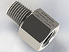 Check Valves, Ball Type - NPT Connection; NPT Nipple, NPT Adapter -- GFLC-0-SS - Image