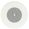 Amplified Ceiling Speakers Assemblies - ASWG1DK - Visual Sound, Inc.