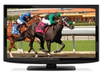 42-Inch Large-Screen LCD Display -- E421