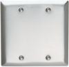 Blank Plates -- Box Mounted, Two Gang -- SS23 - Image