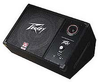 Efficient Floor Monitor System with 12 Inch Heavy-Duty Woofer - 112M - Visual Sound, Inc.