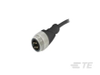 7/8 Connector Cable Assemblies - 5000008030-SE - TE Connectivity