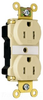 Duplex/Single Receptacle -- PTTR62 - Image